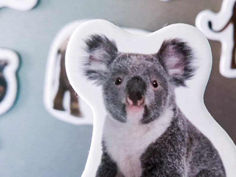 Realistic animals Fridge for toddlers Set of 18 wild Etsy