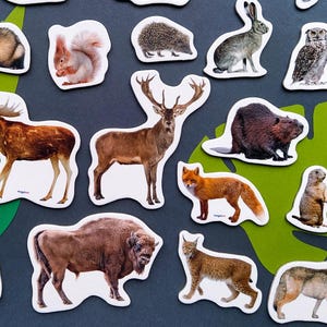 子供用森の動物マグネット、20個セット、幼児用マグネット、知育玩具、冷蔵庫用マグネットセット、お子様へのギフト、動物のキッチン装飾