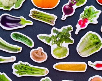 Vegetable magnets, Set of 25, Fridge magnets for kids, Realistic food, Toddler magnets, Educational, Kitchen decor, Veggies toy set