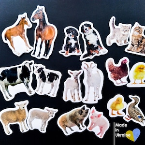 Toddler fridge magnets, Set of 18 realistic animals, Gift for kids