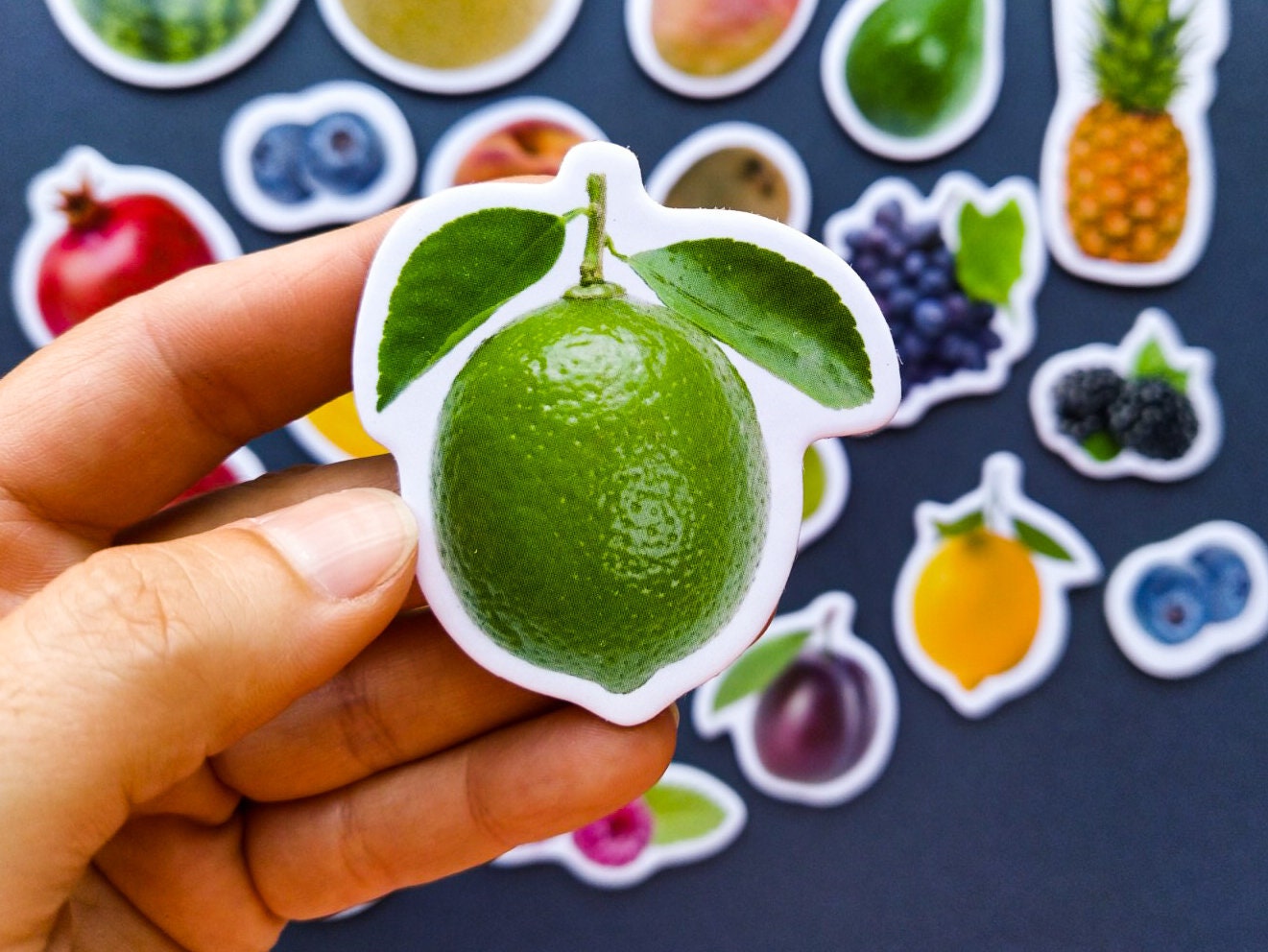 Realistic Food Set of 25 Fruits for Kids Etsy