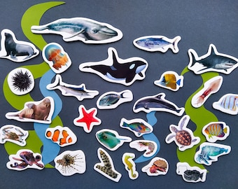 Ocean animals magnets for toddlers, Set of 29, Gift for kids, Marine life decor, Fridge magnets set