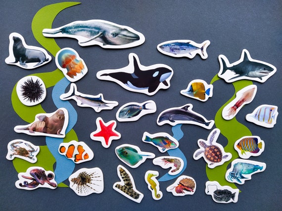 animal magnet gift box set animal magnet gift box set