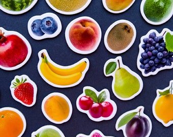 Realistic food magnets, Set of 25 fruits, Magnets for kids, Fridge magnets set, Educational, Toddler magnets, Kitchen decor
