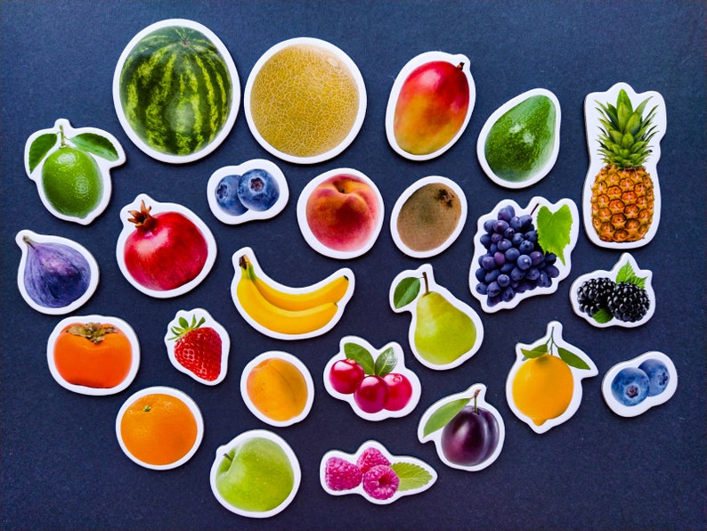 Realistische Lebensmittel Magnete, Set von 25 Früchten, Magnete für Kinder, Kühlschrankmagnete Set, Lernmittel, Kleinkindmagnete, Küchendekor Bild 2