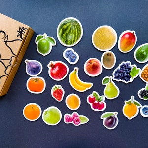 Realistische Lebensmittel Magnete, Set von 25 Früchten, Magnete für Kinder, Kühlschrankmagnete Set, Lernmittel, Kleinkindmagnete, Küchendekor Fruit magnets (25)