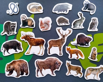 Forest animals magnets for kids, Set of 20, Fridge magnets set, Gift for kids, Animals kitchen decor