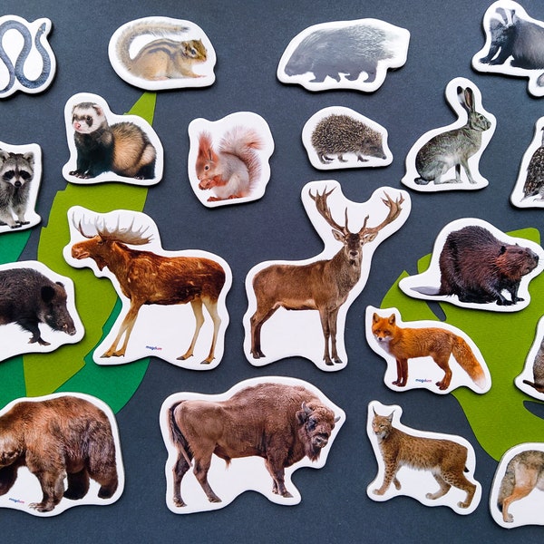 Forest animals magnets for kids, Set of 20, Fridge magnets set, Gift for kids, Animals kitchen decor