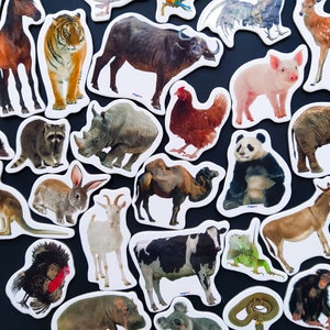 Realistische Tiere Magnete für Kinder, süße Magnete für Kleinkinder, Kühlschrankmagnete, 35er Set, Safari Tiere Dekor, Bauernhof Tiere Spielzeug