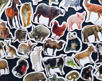 Realistic animals magnets for kids, Cute magnets for toddlers, Fridge magnets, Set of 35, Safari animals decor, Farm animals toys