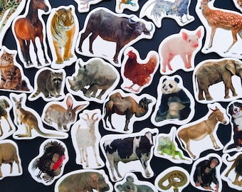 Realistic animals magnets for kids, Cute magnets for toddlers, Fridge magnets, Set of 35, Safari animals decor, Farm animals toys