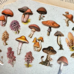 20 autocollants champignons toxiques transparents - Pour Junk journal / Grimoire / carnet / ordinateur portable