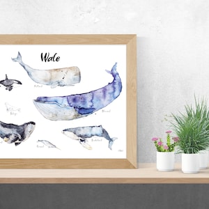Póster de ballena en acuarela, tamaño A3, para habitación infantil, galería, estudio en alemán