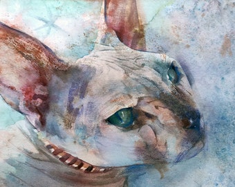 Pintura em aquarela de gato Arte amante de animais de estimação Retrato de gato Gato careca Arte em aquarela original Presente de gato Arte realista Pintado à mão Ilustração gato