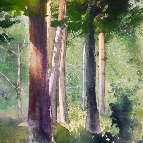Sunny forest watercolor original shops painting summer landscape sun in trees unique nature lover gift sunlight woods gift for her village