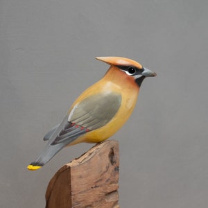 Cedar Waxwing - 7"H - Hand Carved Wooden Bird