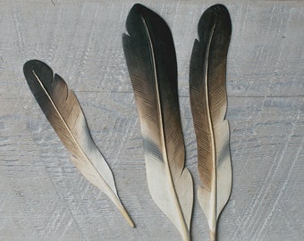 Osprey- Hand Carved Wooden Feathers