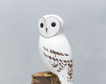 Barn Owl - 13