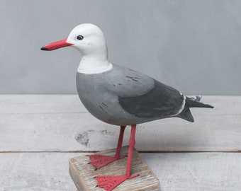 Seagull, Heermann's - 12"H - Hand Carved Wooden Bird