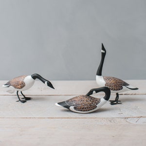 Canada goose 10k precio cheap