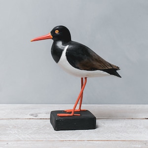 American Oyster Catcher - 10&quot;H - Hand Carved Wooden Shorebird