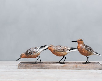 Red Knot - Trio- Hand Carved Wooden Shorebird