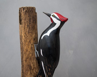 Pileated Woodpecker  - 13"H - Hand Carved Wooden Bird