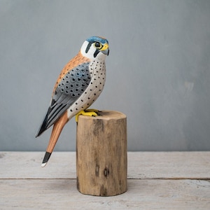 Kestrel - 10.5&quot;H - Hand Carved Wooden Bird