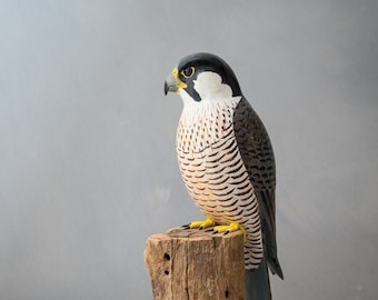 Peregrine Falcon - 11.5"H - Hand Carved Wooden Bird