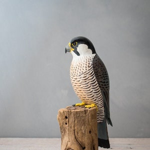 Peregrine Falcon 11.5H Hand Carved Wooden Bird image 1