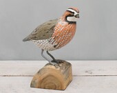 Bob White Quail, Standing- Hand Carved Wooden Bird - 9 quot H