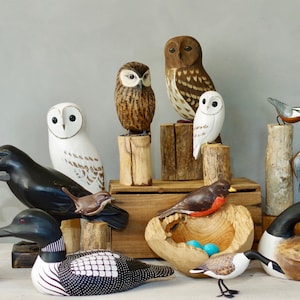 May include: A collection of hand-carved wooden bird figurines, including owls, a robin, a loon, and a variety of songbirds. The figurines are painted in realistic colors and feature intricate details. The birds are displayed on a wooden shelf with a variety of natural elements, including branches, leaves, and stones.