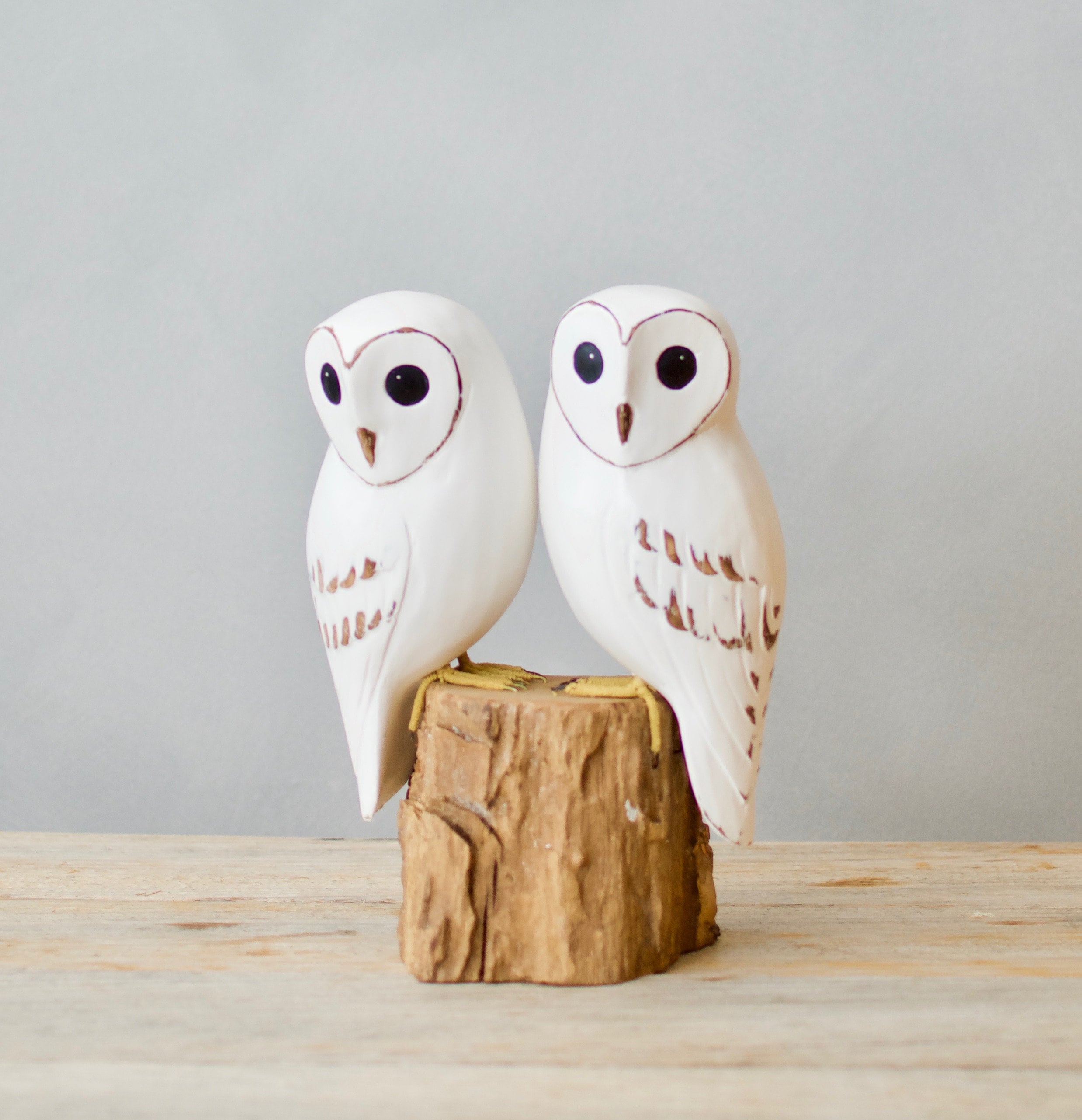Baby Barn Owl - Pair- 7.5