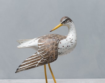 Spotted Sandpiper, Wingdown- Hand Carved Wooden Shorebird