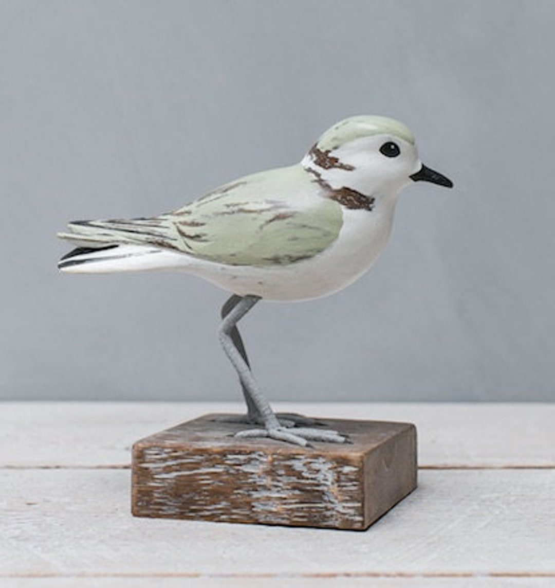 Hand Carved Wooden Snowy Plover | Shorebird Sculpture | Coastal
