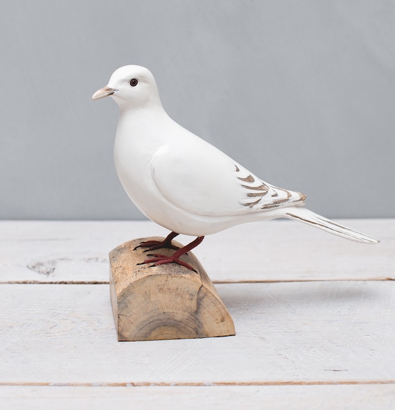 Dove bird online shopping hotsell