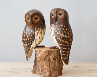 Baby Barred Owl - Pair- 7.5"H - Hand Carved Wooden Bird