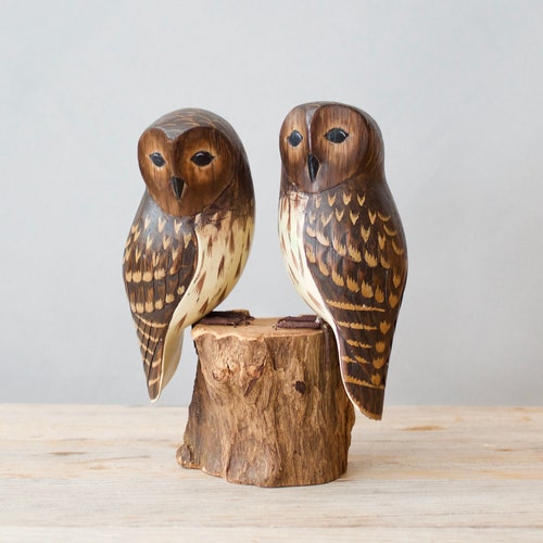 Baby Barred Owl - Pair- 7.5