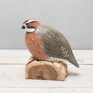 Bob White Quail, Resting - 6&quot;H - Hand Carved | Wooden Bird
