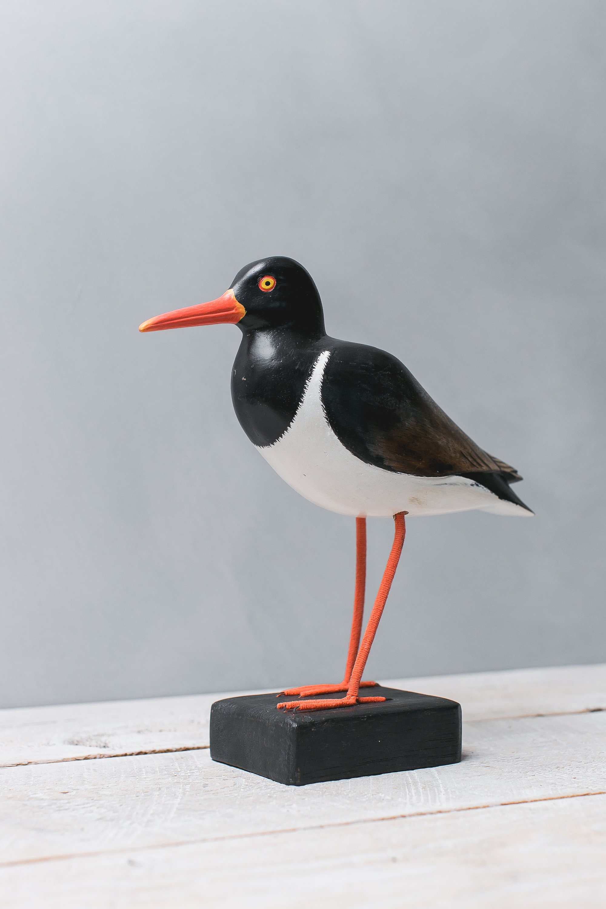 American Oyster Catcher 10H Hand Carved Wooden Etsy España