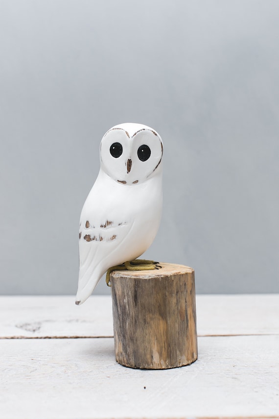 Baby Barn Owl - 8