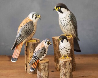 Amazon.com: Bay Breeze Wood seafull Square Birdhouse 9.75