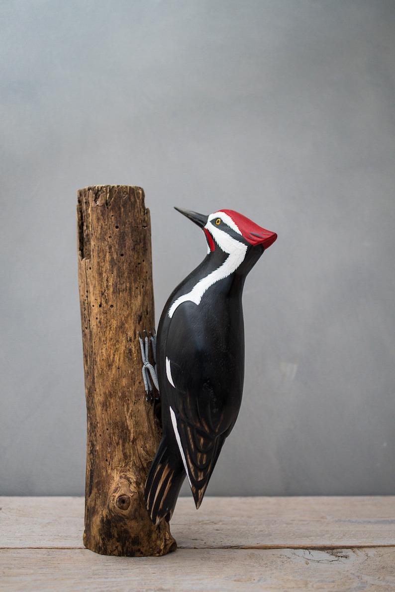 Pileated Woodpecker 13H Hand Carved Wooden Bird image 1