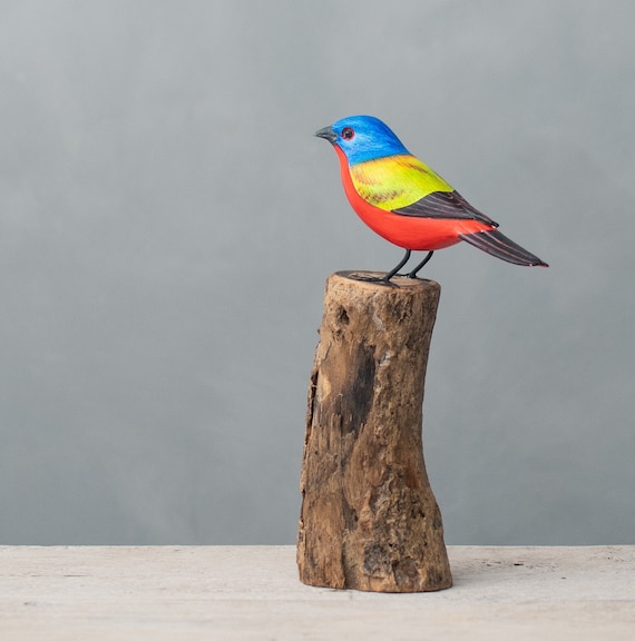 Painted Bunting - 8