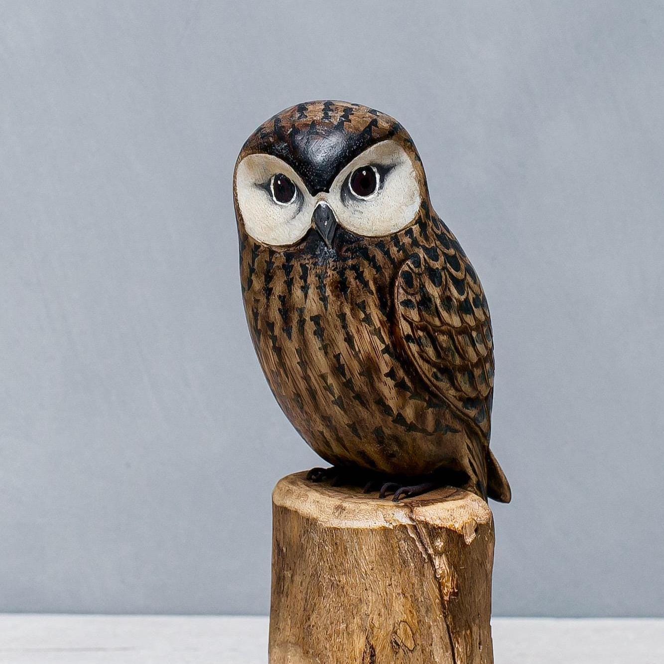 Hand Carved Wooden Saw-whet Owl – 9