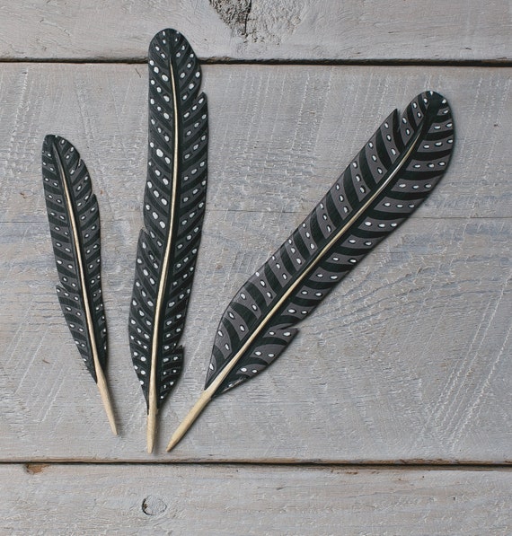 Quail- Hand Carved Wooden Feathers