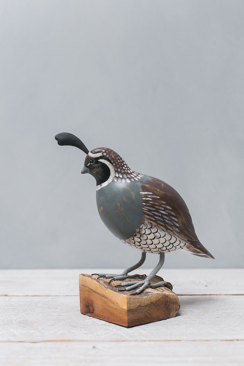 California Quail 8.5h Hand Carved Wooden Bird Etsy