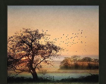 Good By Day Birds de William Vanscoy 28x30 Hermosa puesta de sol Amanecer Árbol Pájaro en vuelo Volando Imagen enmarcada