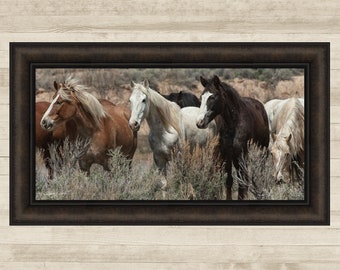 Pasture Pals by Barry Hart 16x28 Horses Photograph Western Pony Horse Framed Art Print Picture