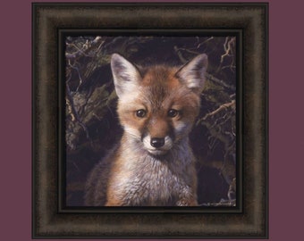 Just Shy of Sly by Carl Brenders 16x16 Baby Fox Kit Red Fox Pup Framed Art Print Wall Décor Picture